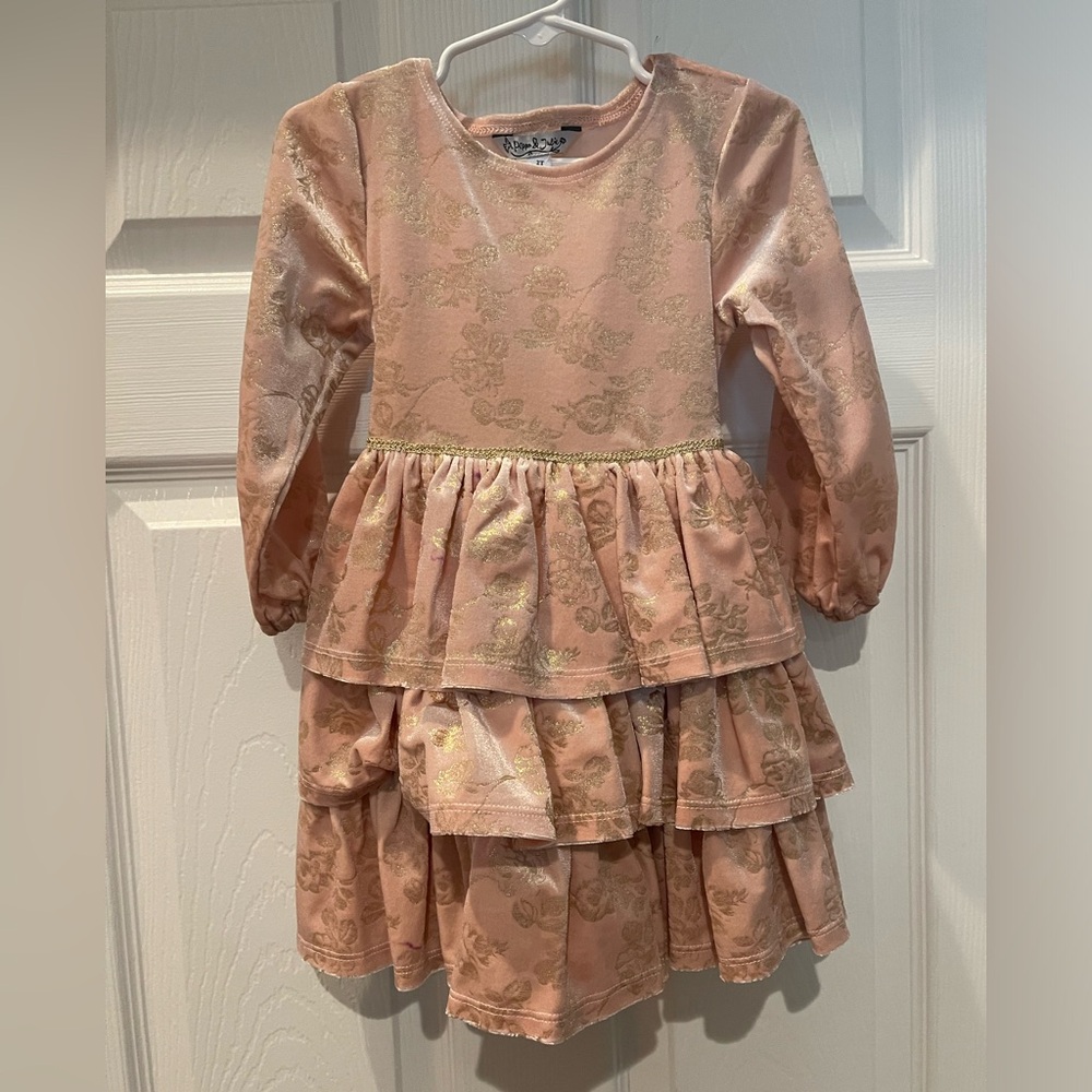 Stunning gold and dusty rose velvet dress. Size 2T